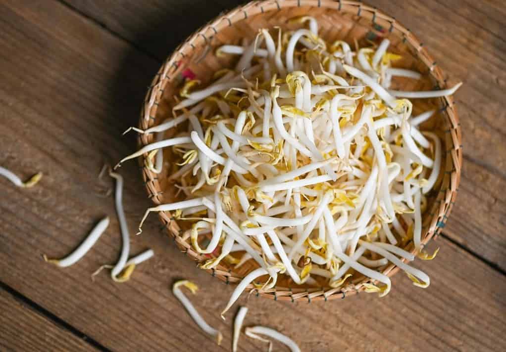 숙주 효능 및 부작용, 칼로리, 콩나물 차이 : 숙주나물 1 바구니에 담겨 있는 숙주 나물