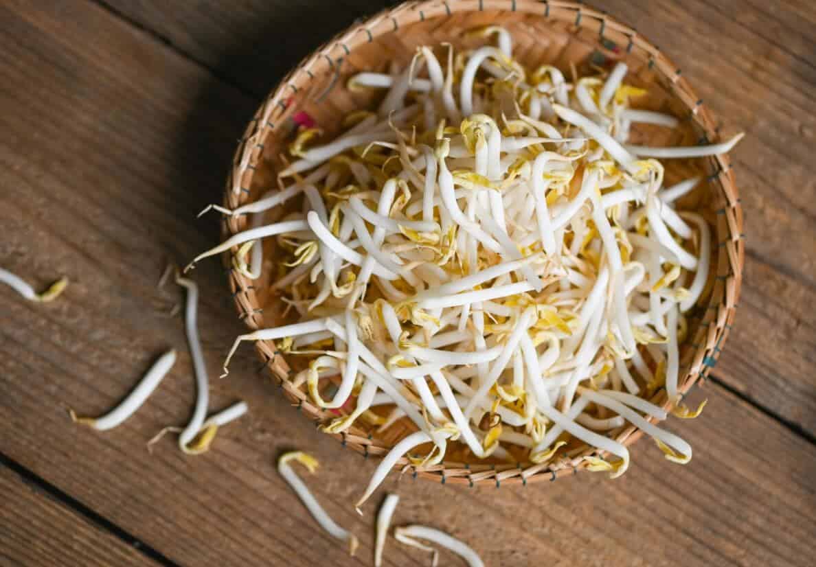 바구니에 담겨 있는 숙주 나물