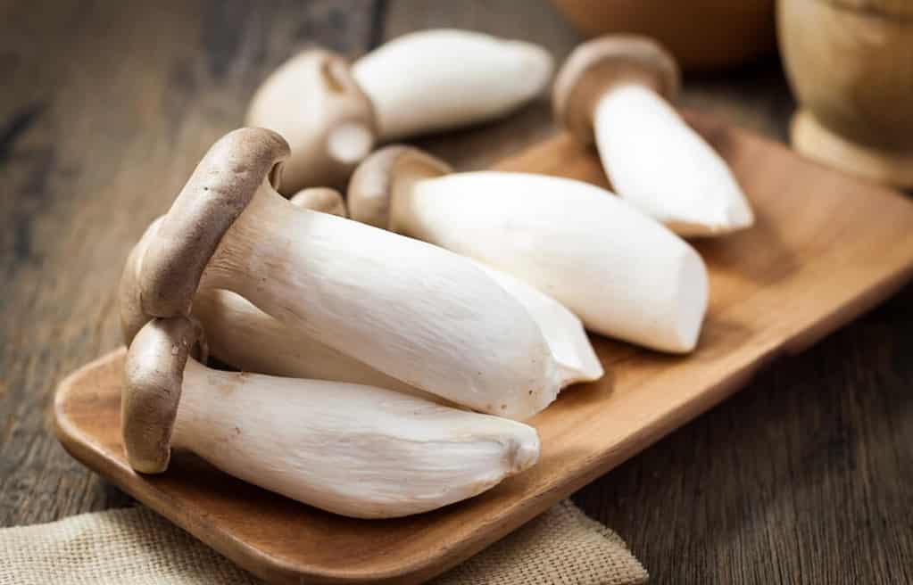 새송이버섯 효능, 부작용, 보관 방법, 곰팡이 피었을 때는? 1 도마 위에 올려진 새송이버섯