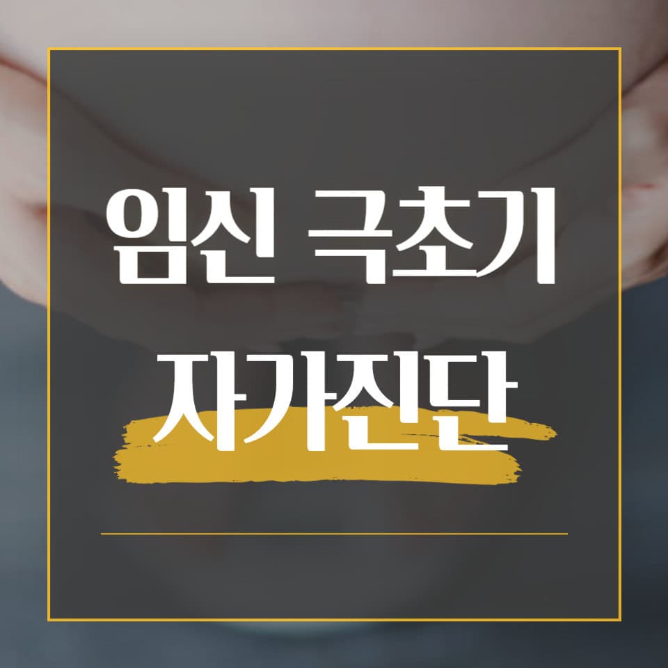 임신 극초기